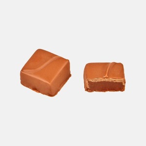 얼그레이 초콜릿 10g x 20ea (2.5cm)